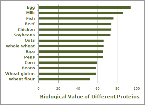 biological-value-protein-chart